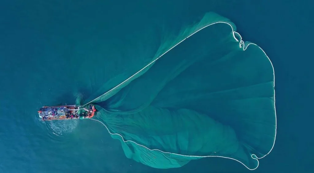 proyecto ecofish de la UCA